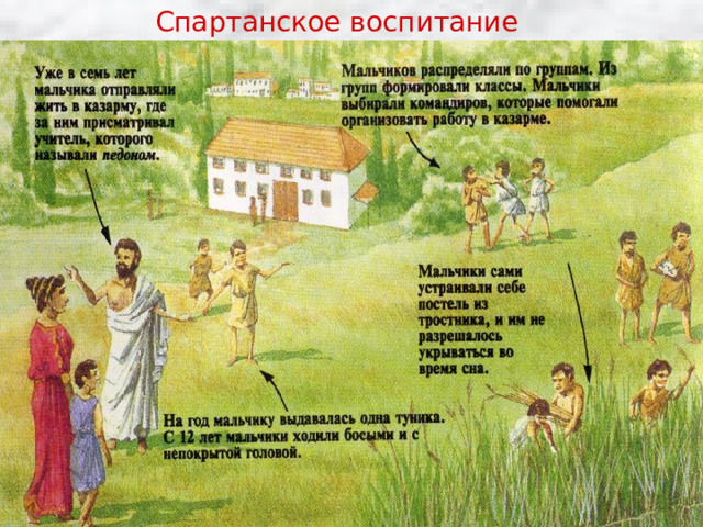 Спартанское воспитание 