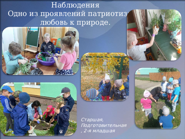 Наблюдения  Одно из проявлений патриотизма –  любовь к природе. Старшая, Подготовительная, 2-я младшая 