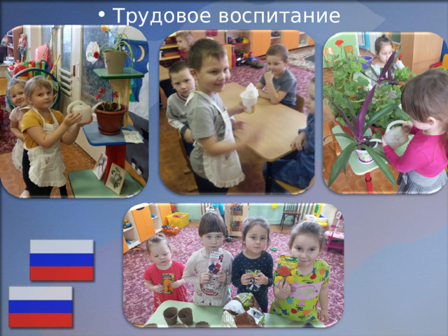 Трудовое воспитание 