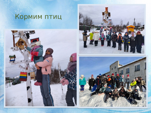 Кормим птиц 