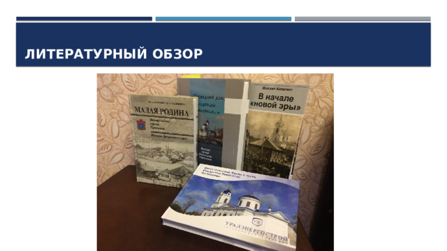 ЛИТЕРАТУРНЫЙ ОБЗОР 