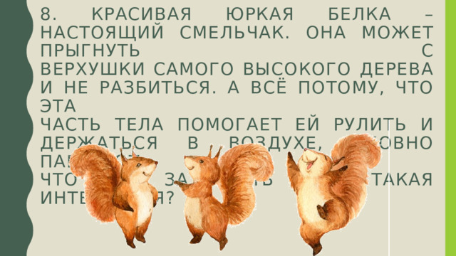 8. Красивая юркая белка – настоящий смельчак. Она может прыгнуть с  верхушки самого высокого дерева и не разбиться. А всё потому, что эта  часть тела помогает ей рулить и держаться в воздухе, словно парашют.  Что это за часть тела такая интересная? 