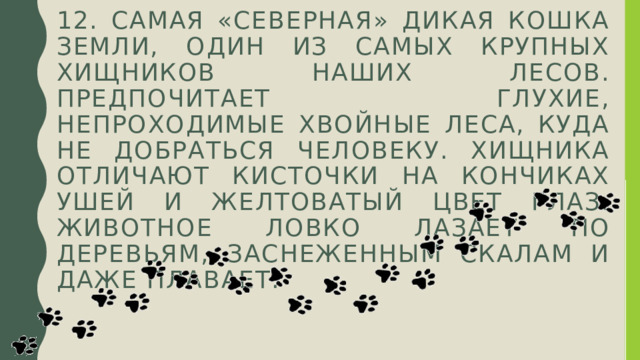 12. Самая «северная» дикая кошка Земли, один из самых крупных хищников наших лесов. Предпочитает глухие, непроходимые хвойные леса, куда не добраться человеку. Хищника отличают кисточки на кончиках ушей и желтоватый цвет глаз. Животное ловко лазает по деревьям, заснеженным скалам и даже плавает. 