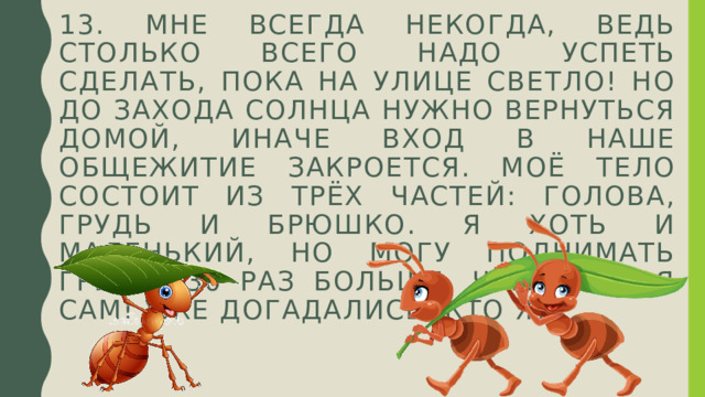 13. Мне всегда некогда, ведь столько всего надо успеть сделать, пока на улице светло! Но до захода солнца нужно вернуться домой, иначе вход в наше общежитие закроется. Моё тело состоит из трёх частей: голова, грудь и брюшко. Я хоть и маленький, но могу поднимать груз в 30 раз больше, чем вешу я сам! Уже догадались, кто я? 