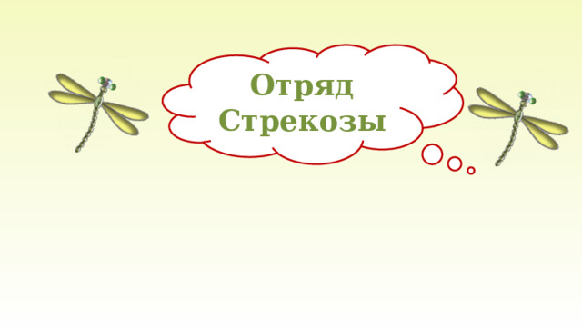  Отряд Стрекозы  