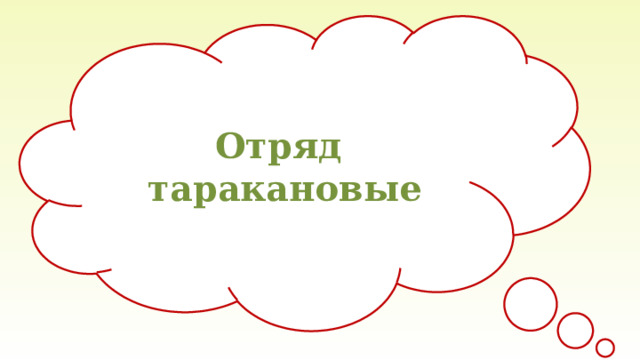 Отряд таракановые 