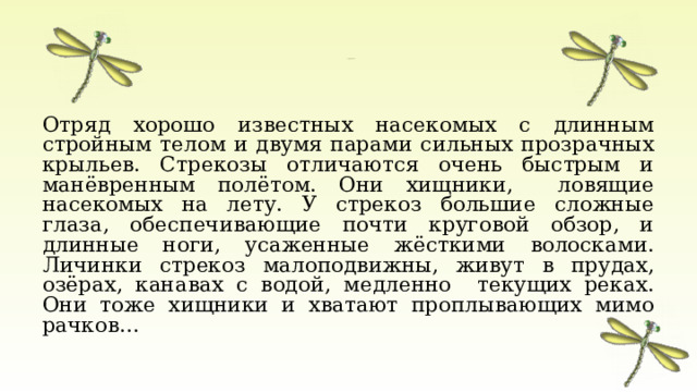  Отряд СТРЕКОЗЫ     Отряд хорошо известных насекомых с длинным стройным телом и двумя парами сильных прозрачных крыльев. Стрекозы отличаются очень быстрым и манёвренным полётом. Они хищники, ловящие насекомых на лету. У стрекоз большие сложные глаза, обеспечивающие почти круговой обзор, и длинные ноги, усаженные жёсткими волосками. Личинки стрекоз малоподвижны, живут в прудах, озёрах, канавах с водой, медленно текущих реках. Они тоже хищники и хватают проплывающих мимо рачков… 
