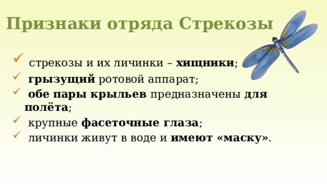 Признаки отряда Стрекозы  стрекозы и их личинки – хищники ;  грызущий ротовой аппарат;  обе пары крыльев предназначены для полёта ;  крупные фасеточные глаза ;  личинки живут в воде и имеют «маску» . 