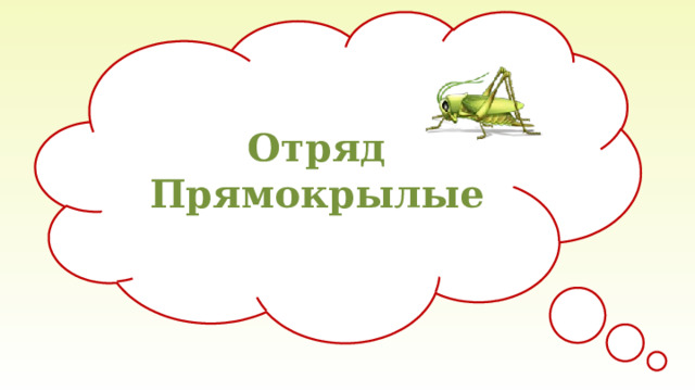 Отряд Прямокрылые 