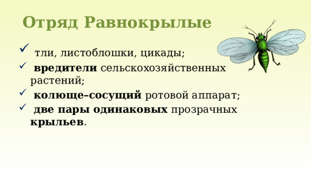 Отряд Равнокрылые  тли, листоблошки, цикады;  вредители сельскохозяйственных растений;  колюще–сосущий ротовой аппарат;  две пары одинаковых прозрачных крыльев . 
