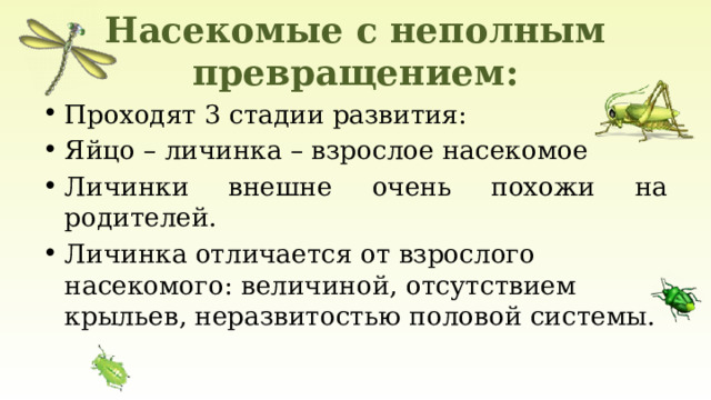 Насекомые с неполным превращением: Проходят 3 стадии развития: Яйцо – личинка – взрослое насекомое Личинки внешне очень похожи на родителей. Личинка отличается от взрослого насекомого: величиной, отсутствием крыльев, неразвитостью половой системы. 