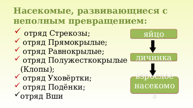 Насекомые, развивающиеся с неполным превращением:  отряд Стрекозы;  отряд Прямокрылые;  отряд Равнокрылые;  отряд Полужесткокрылые (Клопы);  отряд Уховёртки;  отряд Подёнки; отряд Вши яйцо личинка взрослое насекомое 