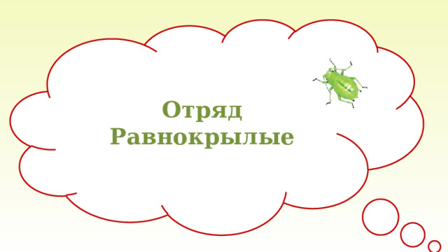 Отряд Равнокрылые 