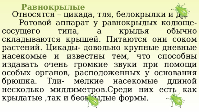 Равнокрылые  Относятся – цикада, тля, белокрылки и др.  Ротовой аппарат у равнокрылых колюще-сосущего типа, а крылья обычно складываются крышей. Питаются они соком растений. Цикады- довольно крупные дневные насекомые и известны тем, что способны издавать очень громкие звуки при помощи особых органов, расположенных у основания брюшка. Тли- мелкие насекомые длиной несколько миллиметров.Среди них есть как крылатые ,так и бескрылые формы. 