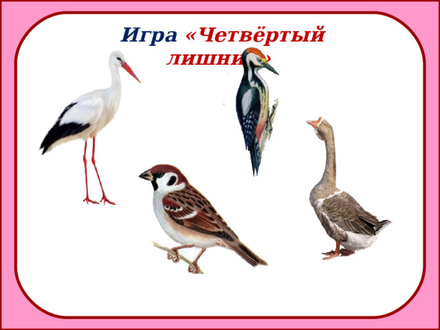Игра «Четвёртый лишний»  