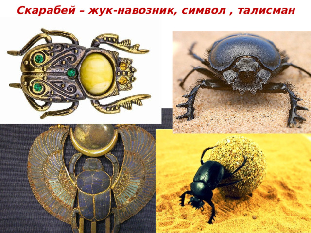 Скарабей – жук-навозник, символ , талисман 