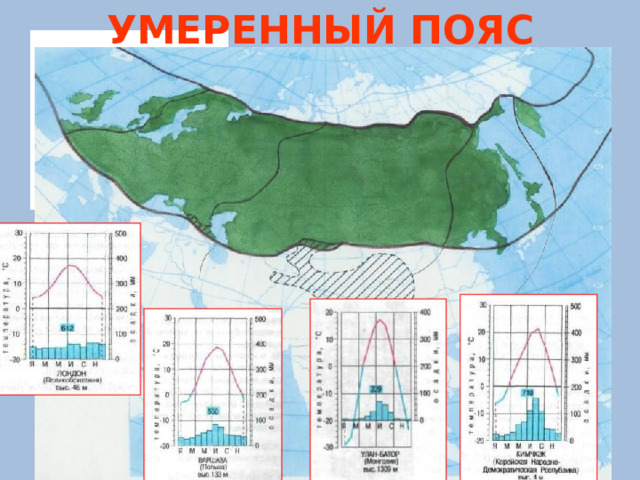 УМЕРЕННЫЙ ПОЯС 
