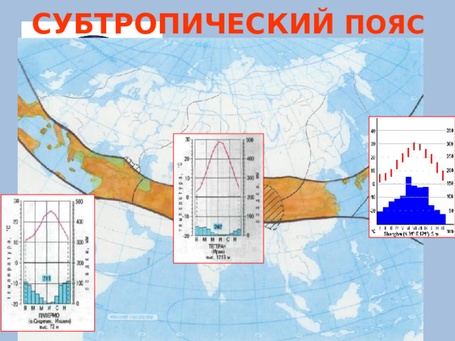 СУБТРОПИЧЕСКИЙ ПОЯС 