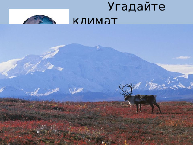  Угадайте климат 