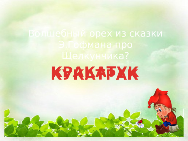 Волшебный орех из сказки Э.Гофмана про Щелкунчика? КРАКАТУК КУКАТРАК 