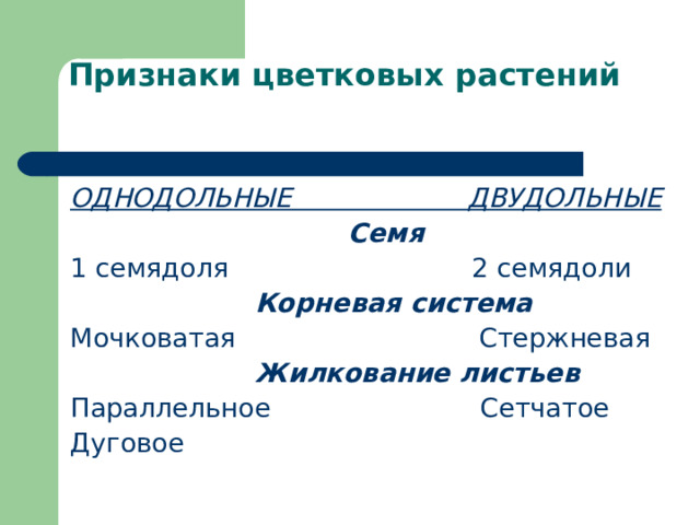 Признаки цветковых растений   ОДНОДОЛЬНЫЕ ДВУДОЛЬНЫЕ  Семя Корневая система Жилкование листьев 