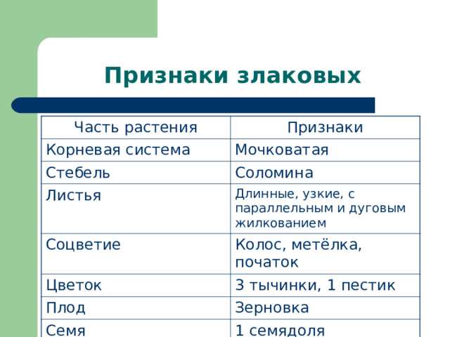 Часть растения Признаки Корневая система Мочковатая Стебель Соломина Листья Длинные, узкие, с параллельным и дуговым жилкованием Соцветие Колос, метёлка, початок Цветок 3 тычинки, 1 пестик Плод Зерновка Семя 1 семядоля 
