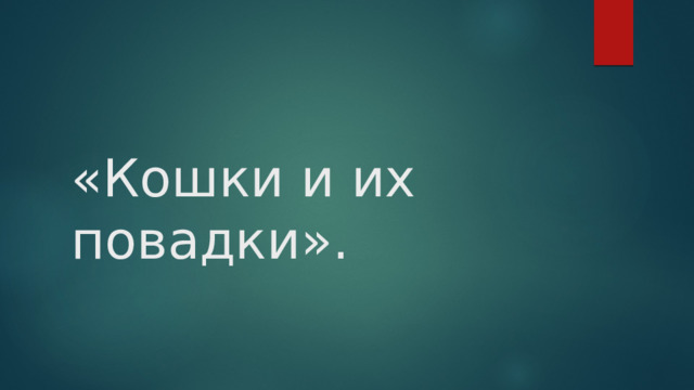 «Кошки и их повадки». 