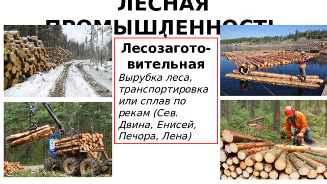 ЛЕСНАЯ ПРОМЫШЛЕННОСТЬ Лесозагото-вительная Вырубка леса, транспортировка или сплав по рекам (Сев. Двина, Енисей, Печора, Лена) 