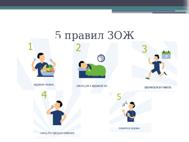 5 правил ЗОЖ 