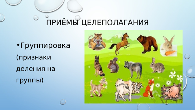 ПРИ Ё МЫ ЦЕЛЕПОЛАГАНИЯ Группировка (признаки деления на группы) 