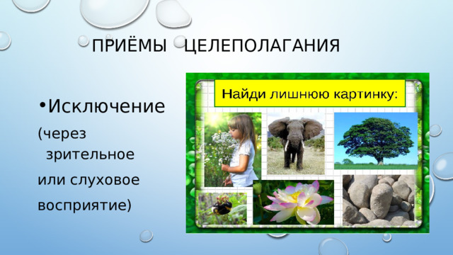 ПРИ Ё МЫ  ЦЕЛЕПОЛАГАНИЯ Исключение (через зрительное или слуховое восприятие) 