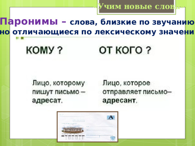 «Учим новые слова» Паронимы – слова, близкие по звучанию, но отличающиеся по лексическому значению 