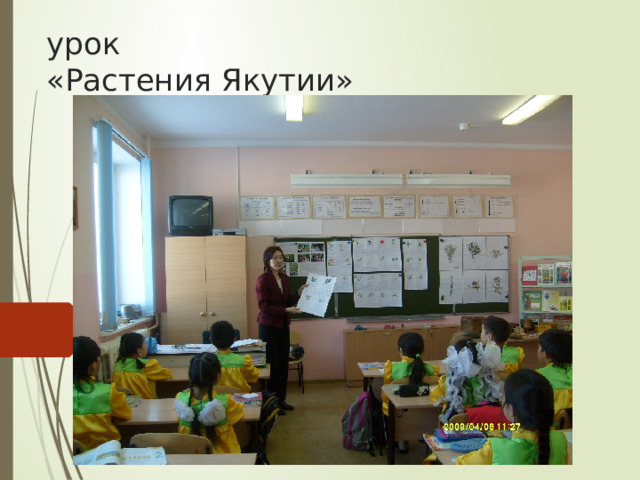 урок  «Растения Якутии» 