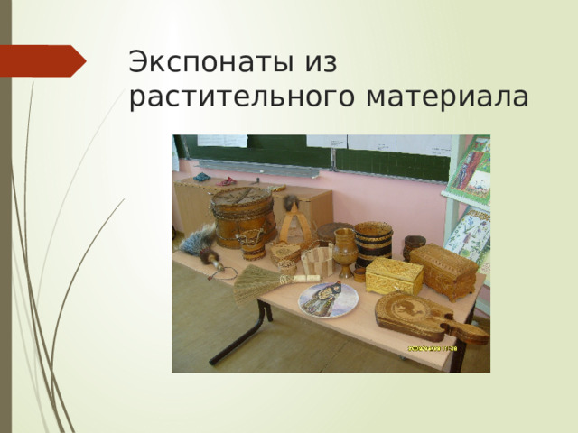 Экспонаты из растительного материала 