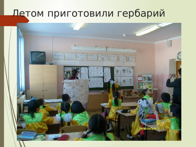 Летом приготовили гербарий 