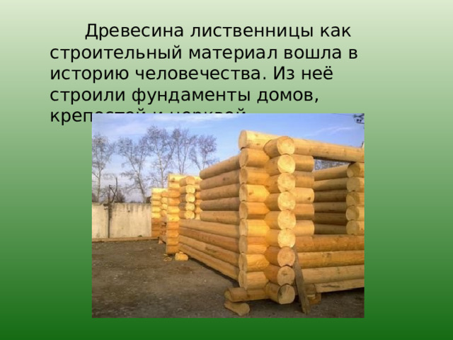  Древесина лиственницы как строительный материал вошла в историю человечества. Из неё строили фундаменты домов, крепостей и церквей. 