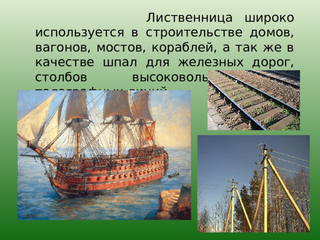  Лиственница широко используется в строительстве домов, вагонов, мостов, кораблей, а так же в качестве шпал для железных дорог, столбов высоковольтных и телеграфных линий. 