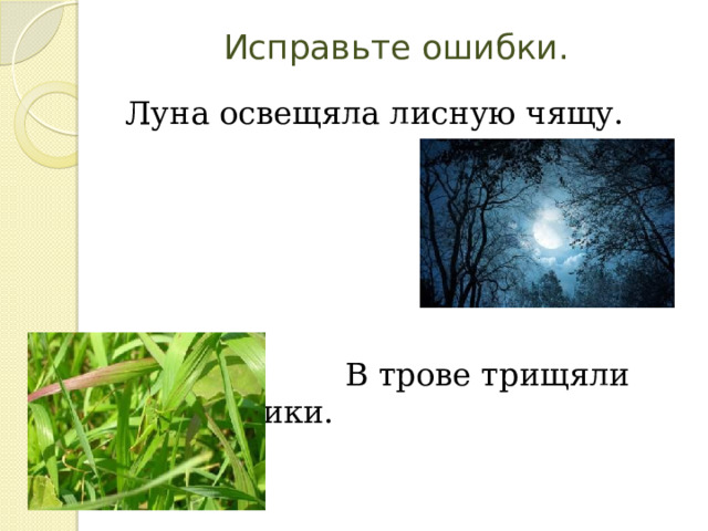 Исправьте ошибки.   Луна освещяла лисную чящу.  В трове трищяли кузнечики. 