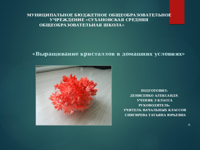 Муниципальное бюджетное общеобразовательное учреждение «сухановская средняя общеобразовательная школа»       «Выращивание кристаллов в домашних условиях»   Подготовил: Денисенко александр, ученик 3 класса Руководитель: учитель начальных классов  Снигирева татьяна юрьевна  П 