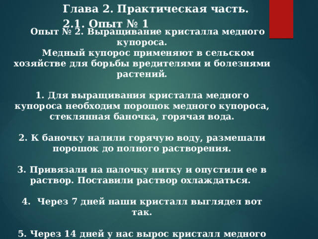 Глава 2. Практическая часть. 2.1. Опыт № 1      Опыт № 2. Выращивание кристалла медного купороса.  Медный купорос применяют в сельском хозяйстве для борьбы вредителями и болезнями растений.  1. Для выращивания кристалла медного купороса необходим порошок медного купороса, стеклянная баночка, горячая вода.  2. К баночку налили горячую воду, размешали порошок до полного растворения.  3. Привязали на палочку нитку и опустили ее в раствор. Поставили раствор охлаждаться.  4. Через 7 дней наши кристалл выглядел вот так.  5. Через 14 дней у нас вырос кристалл медного купороса. Вывод: кристалл медного купороса растет быстрее соли, сам кристалл очень красивый с четкими гранями.      