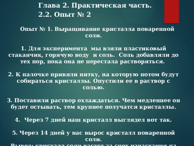 Глава 2. Практическая часть. 2.2. Опыт № 2      Опыт № 1. Выращивание кристалла поваренной соли.  1. Для эксперимента мы взяли пластиковый стаканчик, горячую воду и соль. Соль добавляли до тех пор, пока она не перестала растворяться.  2. К палочке привяли нитку, на которую потом будут собираться кристаллы. Опустили ее в раствор с солью.  3. Поставили раствор охлаждаться. Чем медленнее он будет остывать, тем крупнее получатся кристаллы.  4. Через 7 дней наш кристалл выглядел вот так.  5. Через 14 дней у нас вырос кристалл поваренной соли. Вывод: кристалл соли растет за счет нарастания на него из водного раствора соли других кристаллов.      