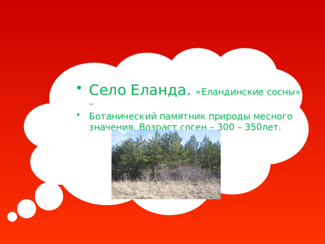 Село Еланда. «Еландинские сосны» – Ботанический памятник природы месного значения. Возраст сосен – 300 – 350лет. 