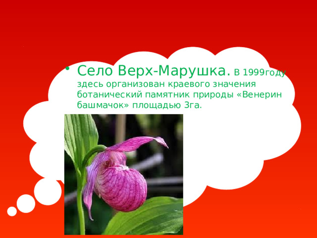 Село Верх-Марушка. В 1999году здесь организован краевого значения ботанический памятник природы «Венерин башмачок» площадью 3га. 