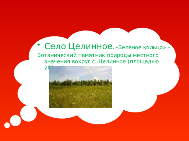 Село Целинное. »Зеленое кольцо» – Ботанический памятник природы местного значения вокруг с. Целинное (площадью 208га.) 