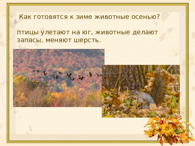  Как готовятся к зиме животные осенью?  птицы улетают на юг, животные делают запасы, меняют шерсть. 