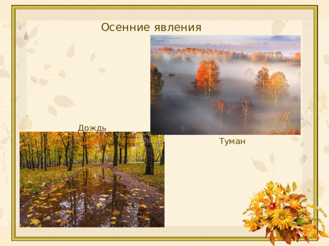  Осенние явления Дождь Туман 