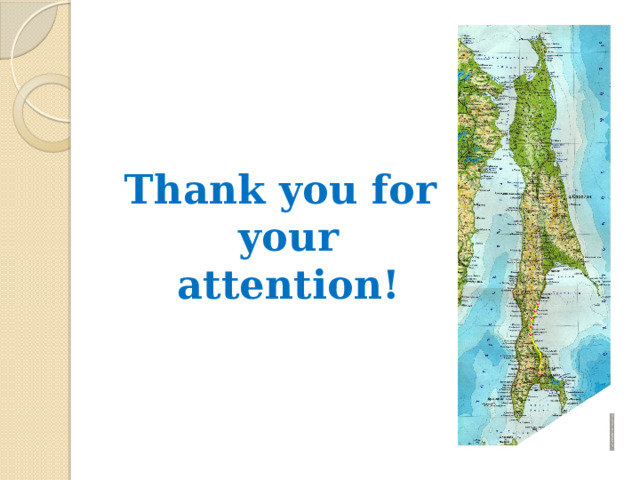 Thank you for your attention! 