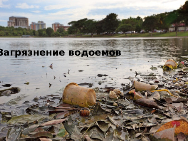 Загрязнение водоемов 