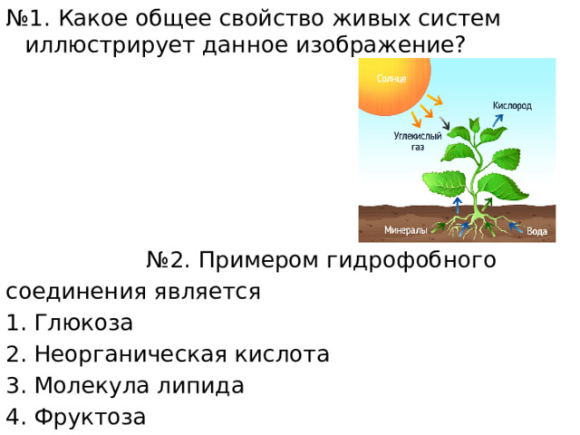 № 1. Какое общее свойство живых систем иллюстрирует данное изображение? № 2. Примером гидрофобного соединения является Глюкоза Неорганическая кислота Молекула липида Фруктоза 