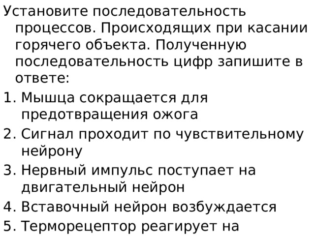 Установите последовательность процессов. Происходящих при касании горячего объекта. Полученную последовательность цифр запишите в ответе: Мышца сокращается для предотвращения ожога Сигнал проходит по чувствительному нейрону Нервный импульс поступает на двигательный нейрон Вставочный нейрон возбуждается Терморецептор реагирует на раздражитель 